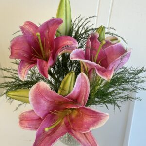Pink Lilies