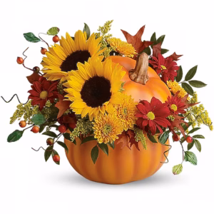 Sunny Pumpkin