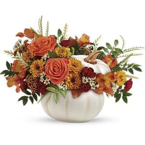 Enchanted Harvest