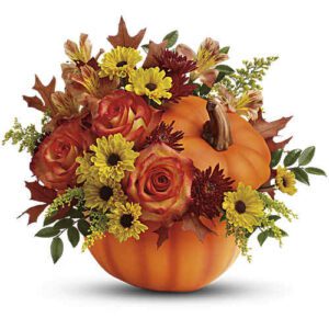 Autumn Wishes
